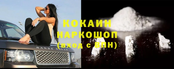 крисы Белокуриха