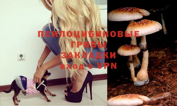 крисы Белокуриха