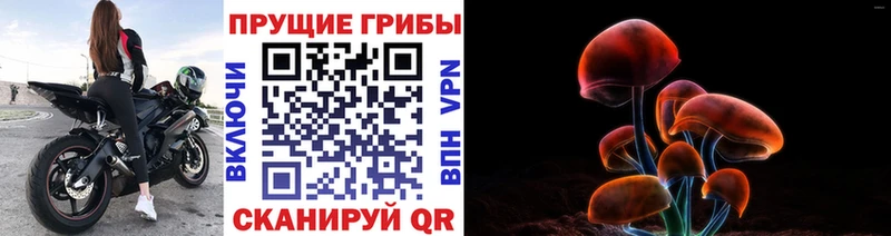 Галлюциногенные грибы мицелий  Буйнакск 
