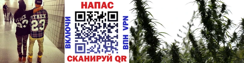 МАРИХУАНА гибрид  Буйнакск 